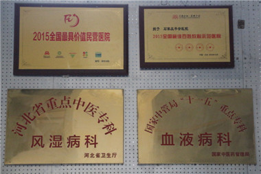 2024新澳门原料网1688大全