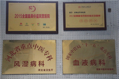 2024新澳门原料网1688大全