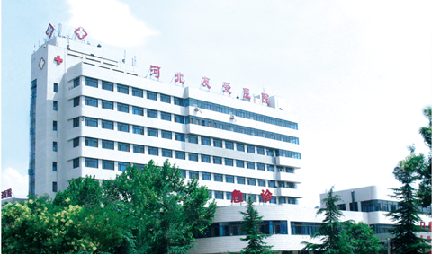 2024新澳门原料网1688大全