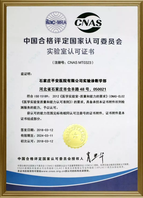2024新澳门原料网1688大全
