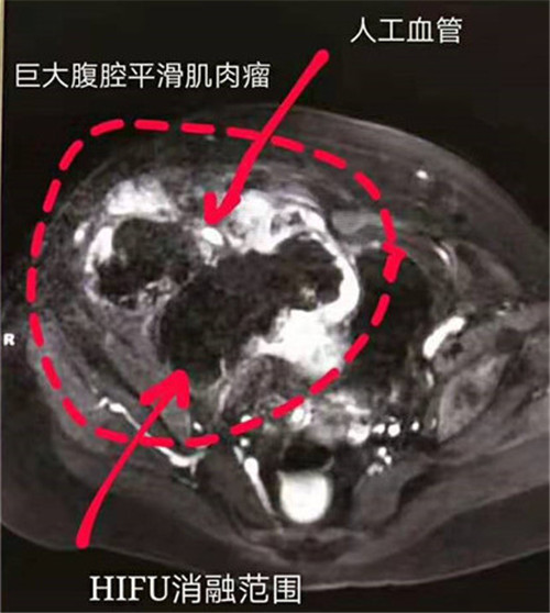 2024新澳门原料网1688大全