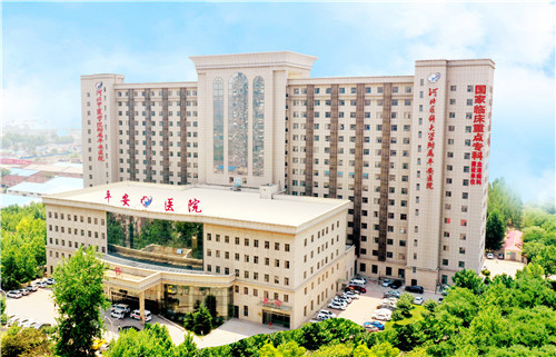 2024新澳门原料网1688大全