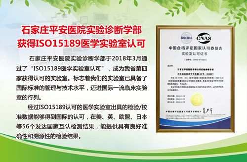 2024新澳门原料网1688大全