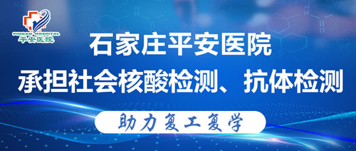 2024新澳门原料网1688大全