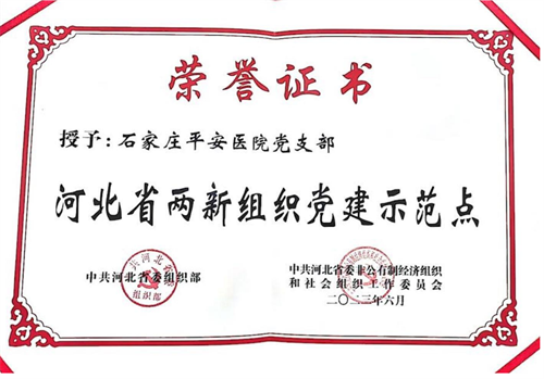 2024新澳门原料网1688大全