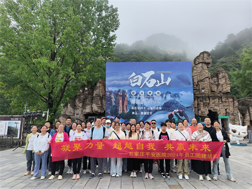2024新澳门原料网1688大全