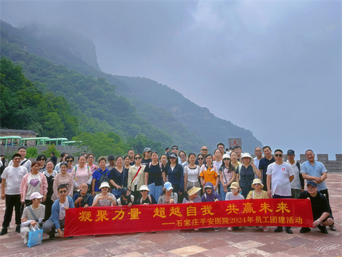 2024新澳门原料网1688大全