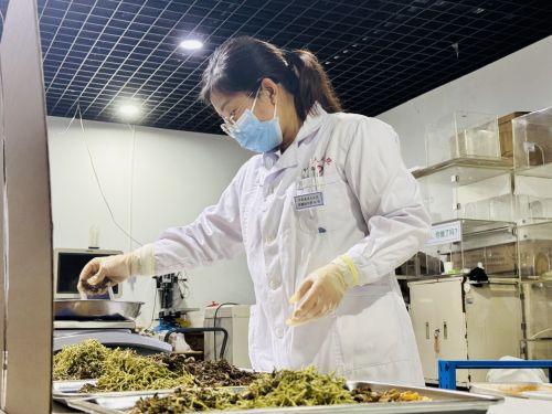 2024新澳门原料网1688大全