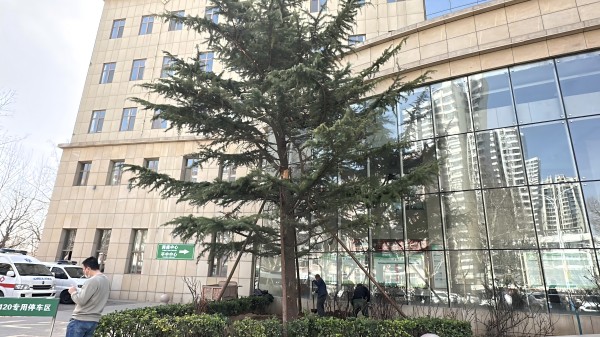 2024新澳门原料网1688大全